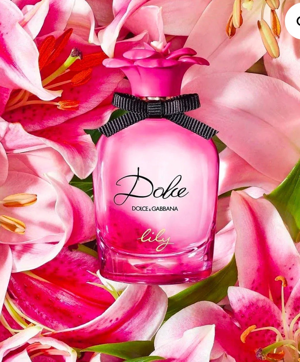 Dolce&Gabbana Dolce Lili 2.5 oz EDT for women